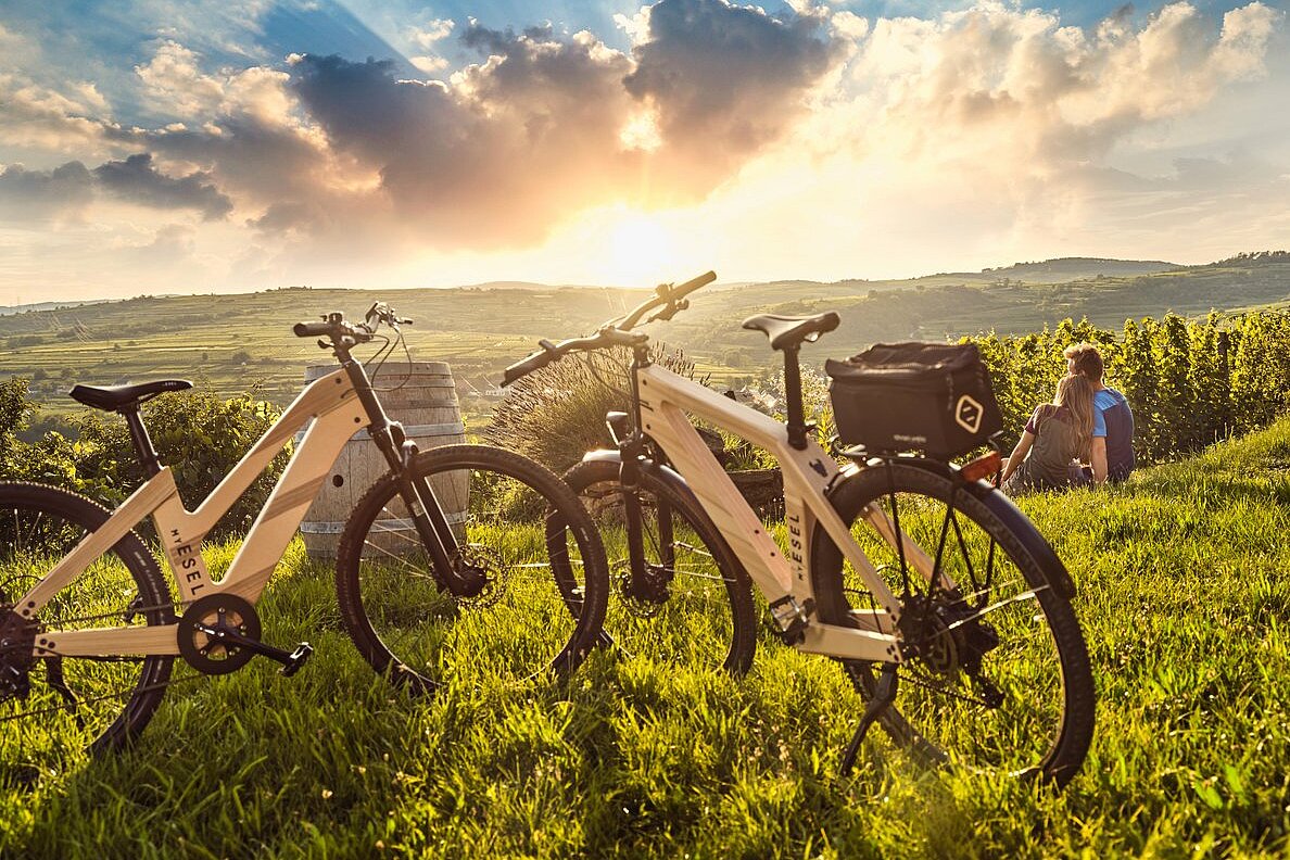 My Esel Fahrräder im Sonnenuntergang 